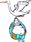 baby_and_stork_4.gif