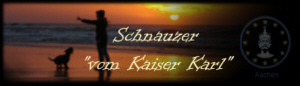 banner%20vom%20kaiser%20karl.jpg