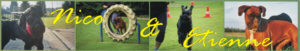 banner%20von%20silke%20leipertz.jpg