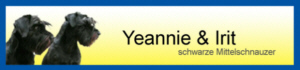 banner%20von%20svenja%20fuchs.jpg