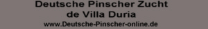 banner_de_villa_duria.jpg