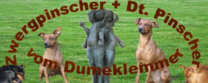 banner_vom_dumeklemmer.jpg