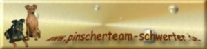 banner_von_schwerter.jpg