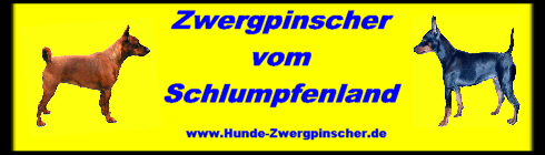 schlumpfenland_banner_1.jpg